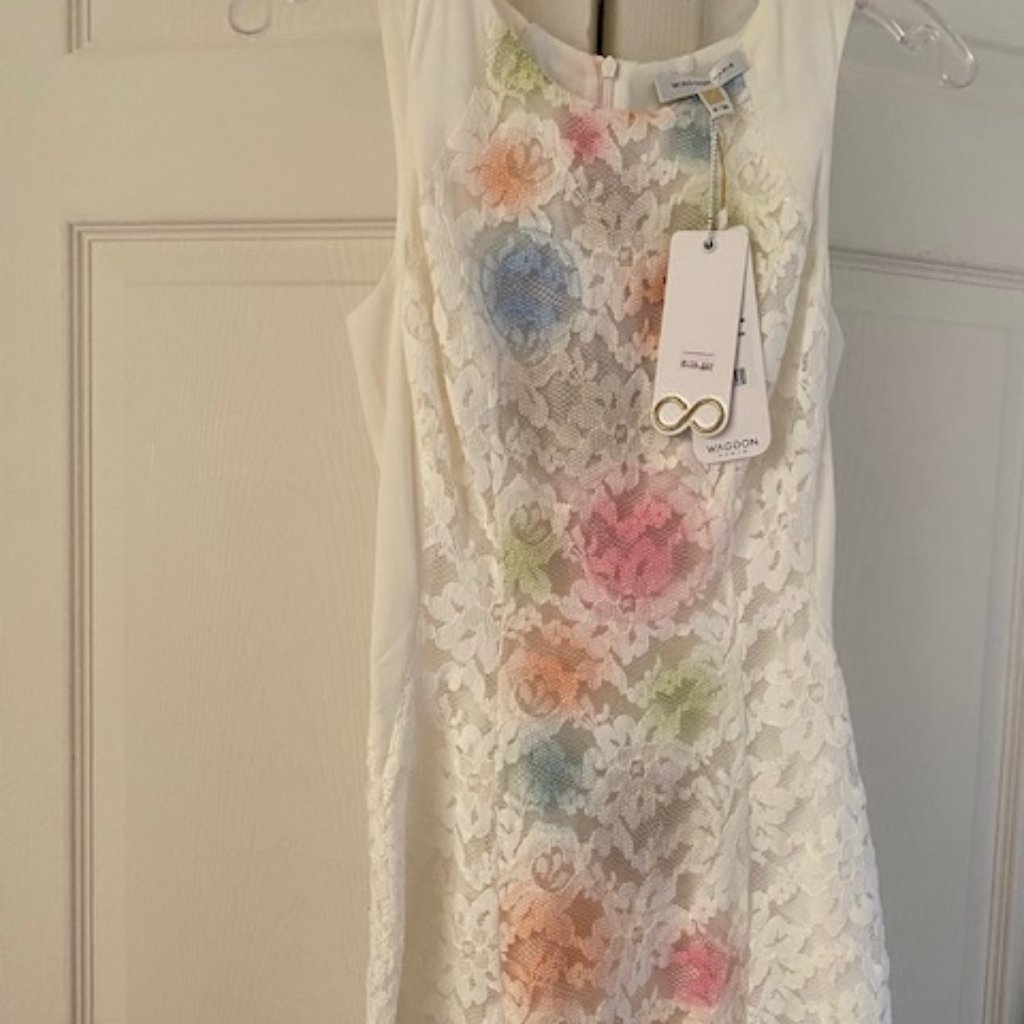 Brand New Waggon  Paris Dress